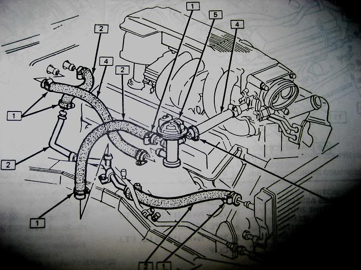 Tpi Camaro Heater/coolant Hose Routing Picture | Grumpys Performance Garage